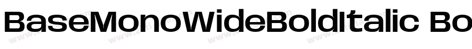 BaseMonoWideBoldItalic Bold Italic字体转换